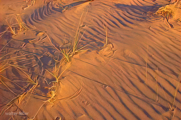 Kelso sand dunes detail photo